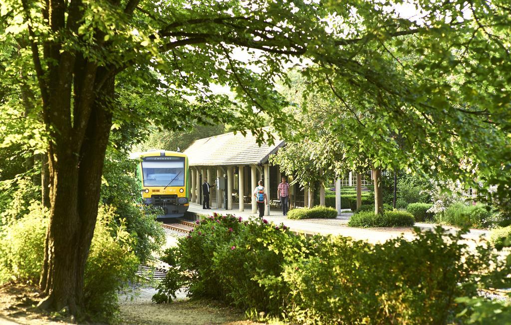 Komfort-&Wellnesspension Rehwinkel Bodenmais Zewnętrze zdjęcie