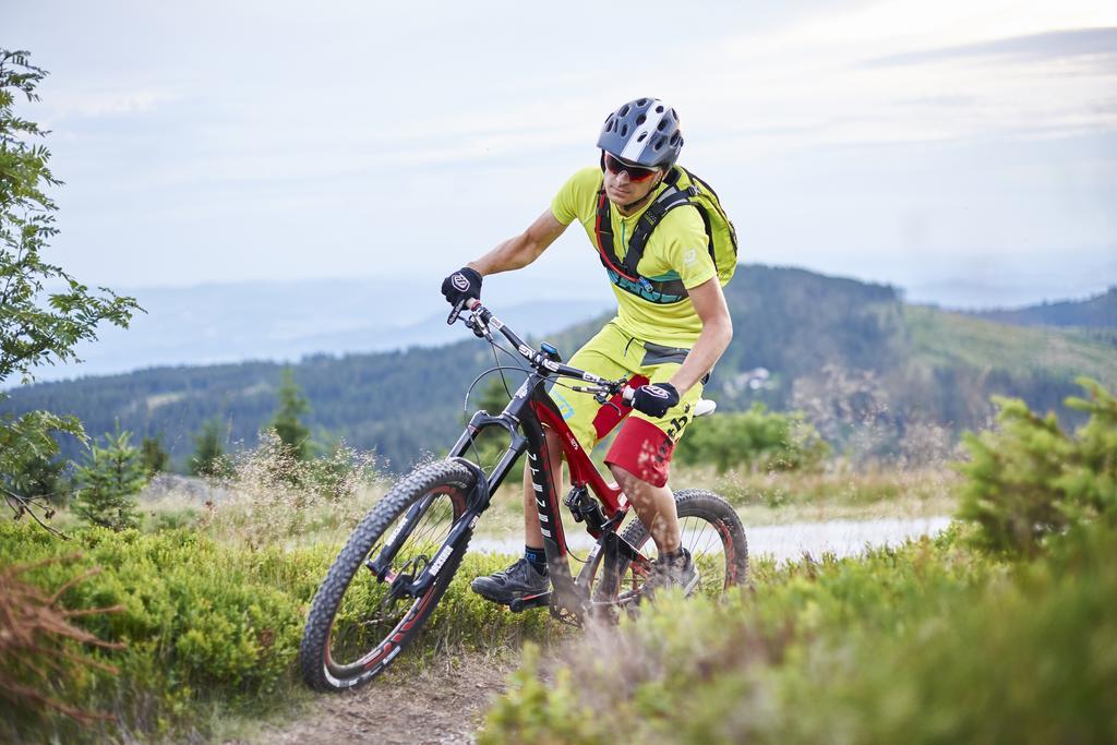 Komfort-&Wellnesspension Rehwinkel Bodenmais Zewnętrze zdjęcie